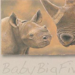 Big Baby Five, Black Rhino