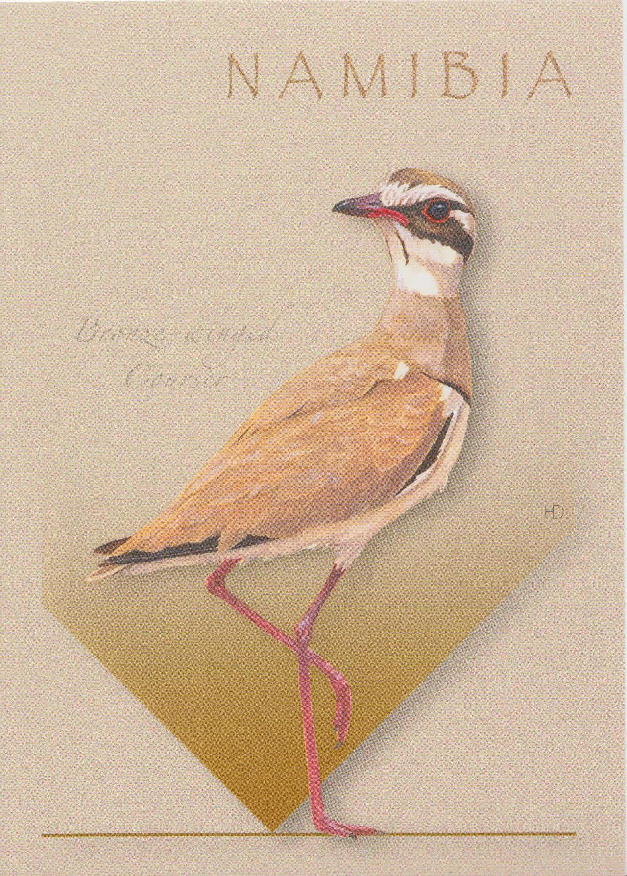 Bronzed Wing Courser
