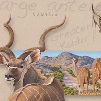 Large Antelope, Greater Kudu