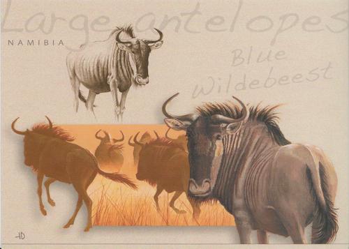 Large antelopes, Blue Wildebeest