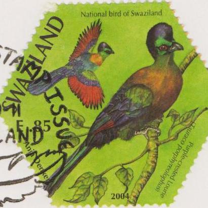 African Stamp