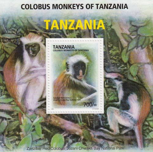 Colobus Monkeys of Tanzania